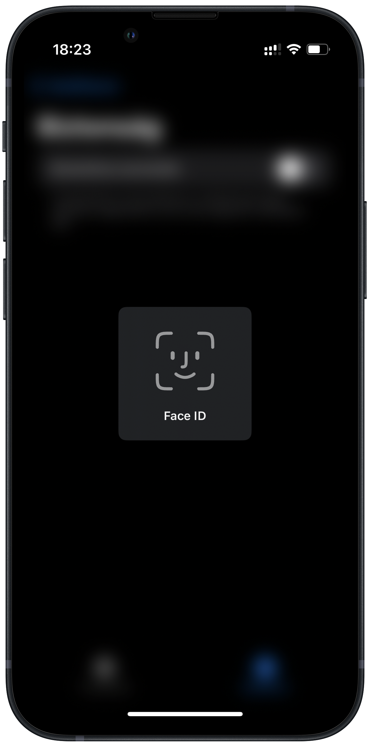 Steksz - Security - Face ID screen
